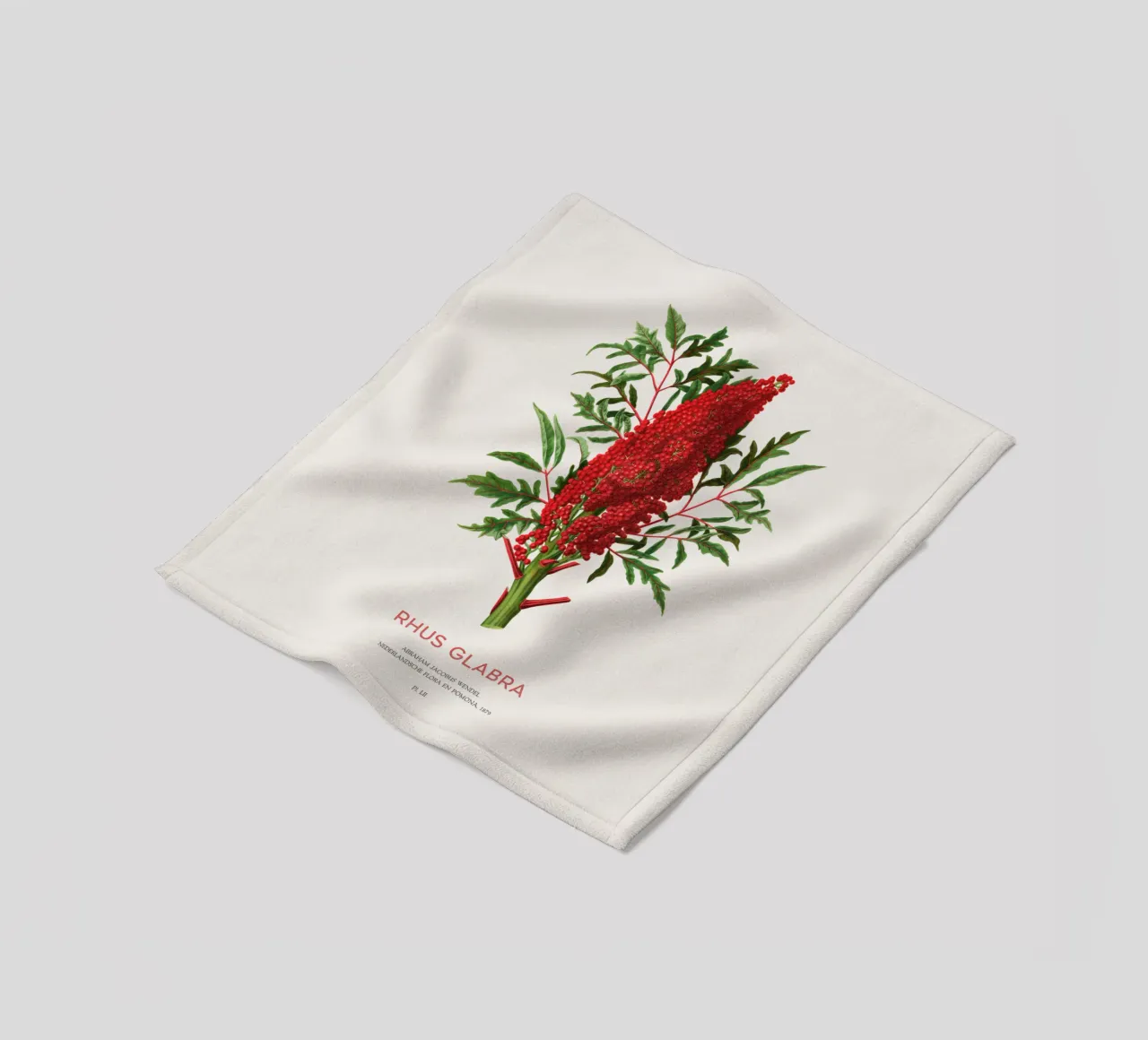 Glatter Sumach oder Rhus glabra Fleecedecke von Vintagrafica