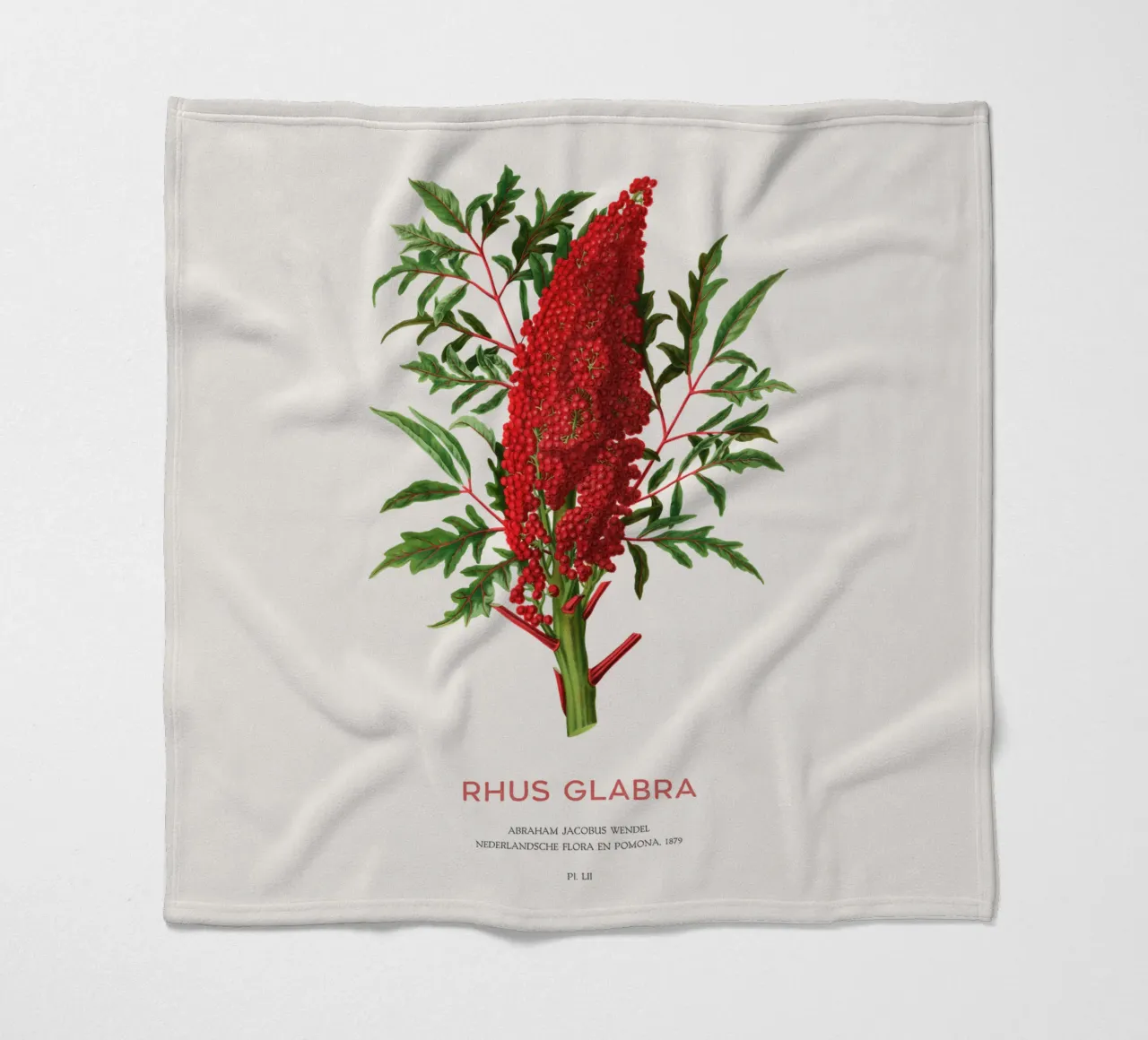 Glatter Sumach oder Rhus glabra Fleecedecke von Vintagrafica