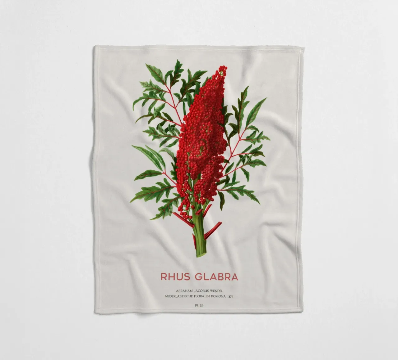 Glatter Sumach oder Rhus glabra Fleecedecke von Vintagrafica