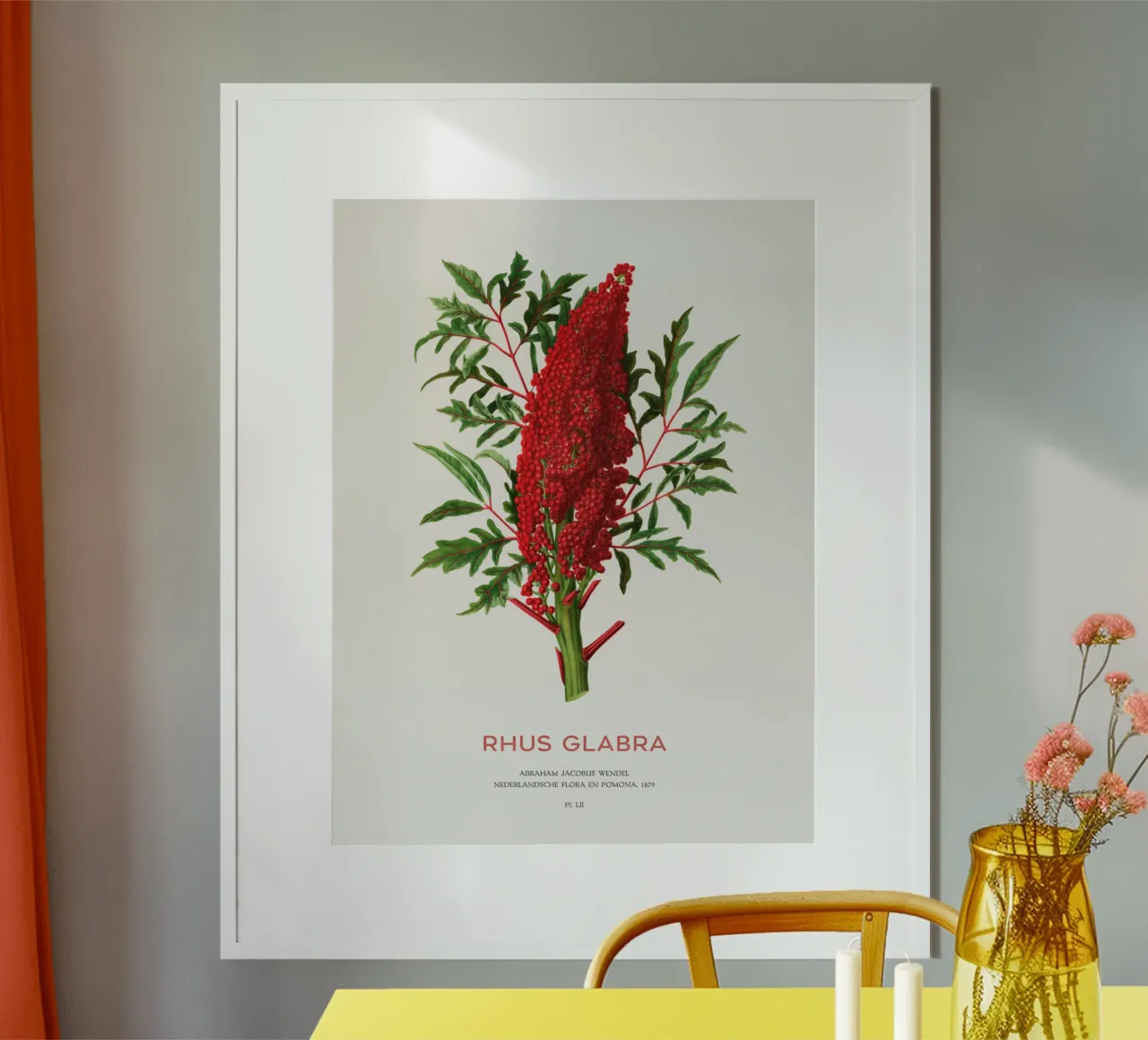 Sommacco liscio o Rhus glabra poster con telaio in plastica da Vintagrafica