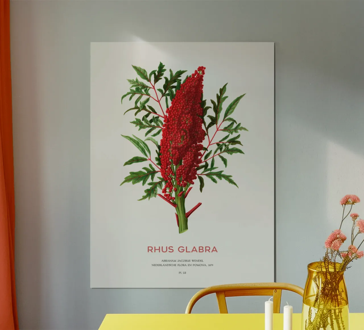 Sommacco liscio o Rhus glabra poster con telaio in plastica da Vintagrafica