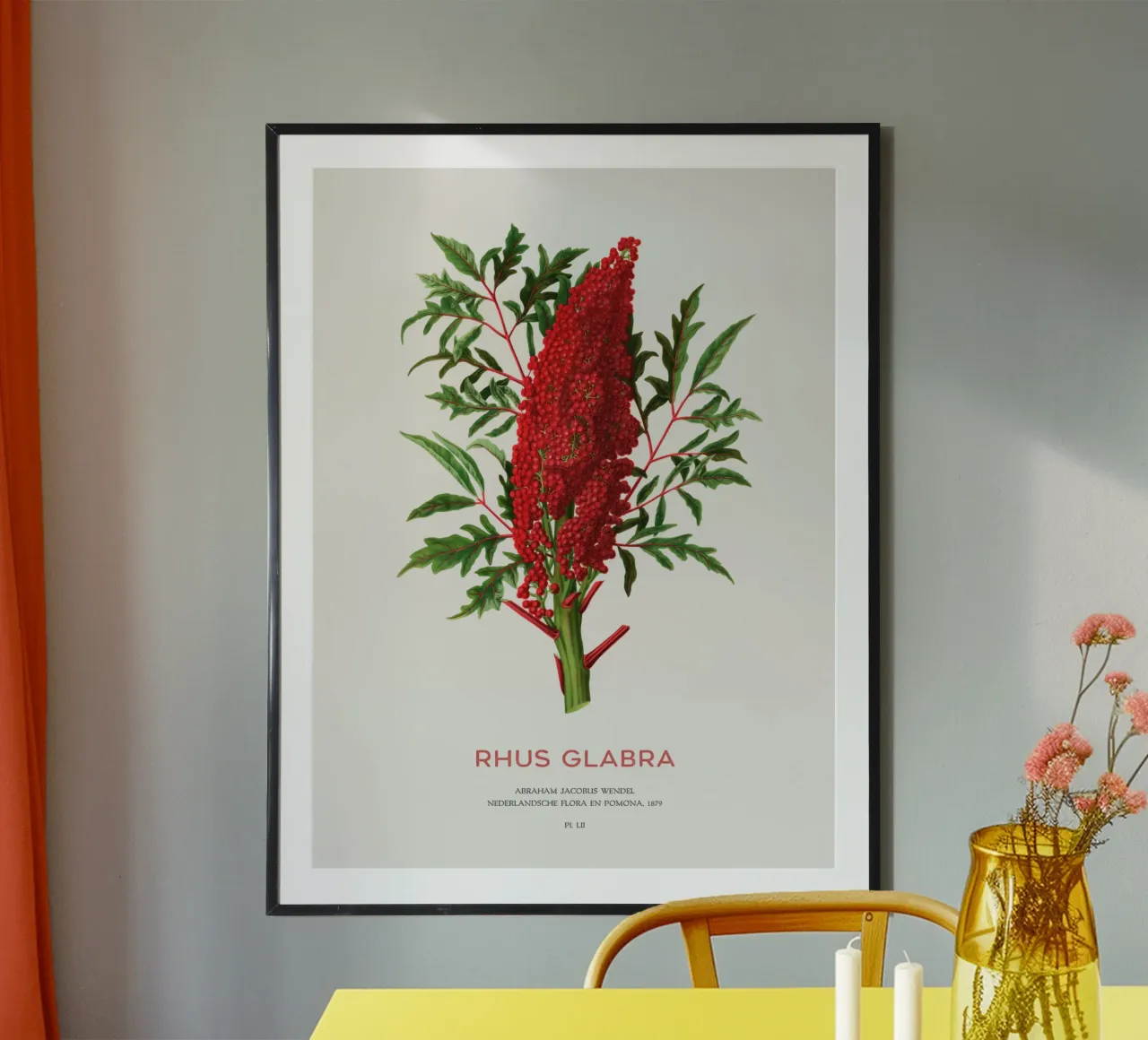 Sommacco liscio o Rhus glabra poster con telaio in plastica da Vintagrafica