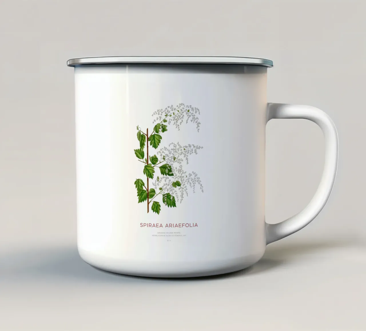 Spruzzo d'oceano o Spiraea ariifolia tazza in smalto da Vintagrafica