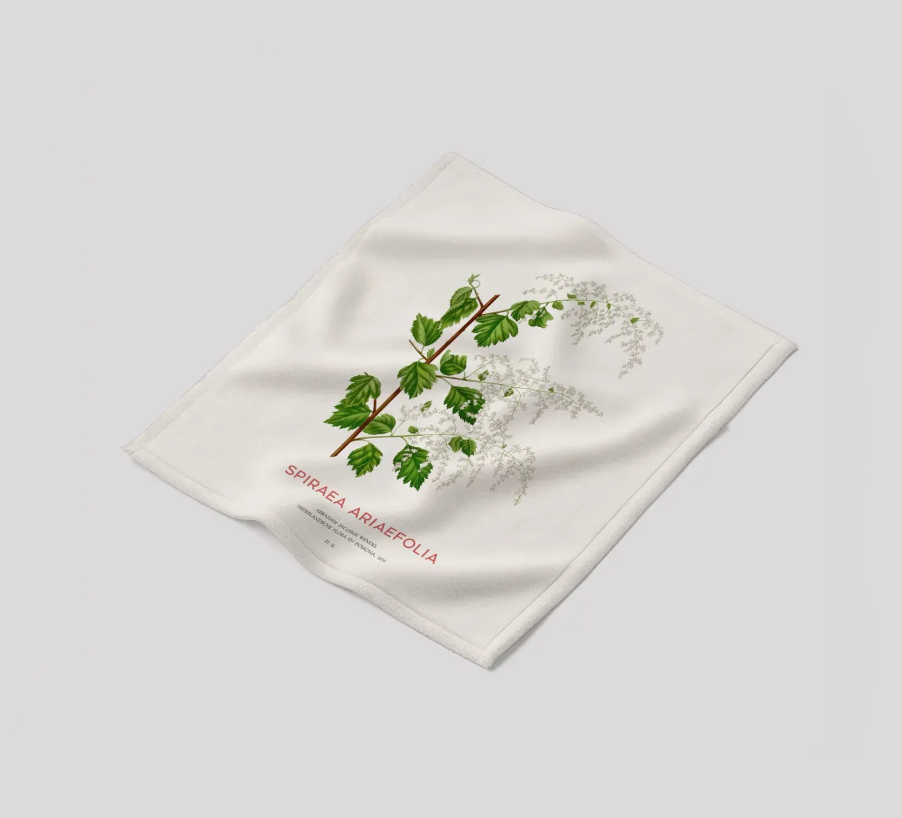 Meeresgischt oder Spiraea ariifolia Fleecedecke von Vintagrafica