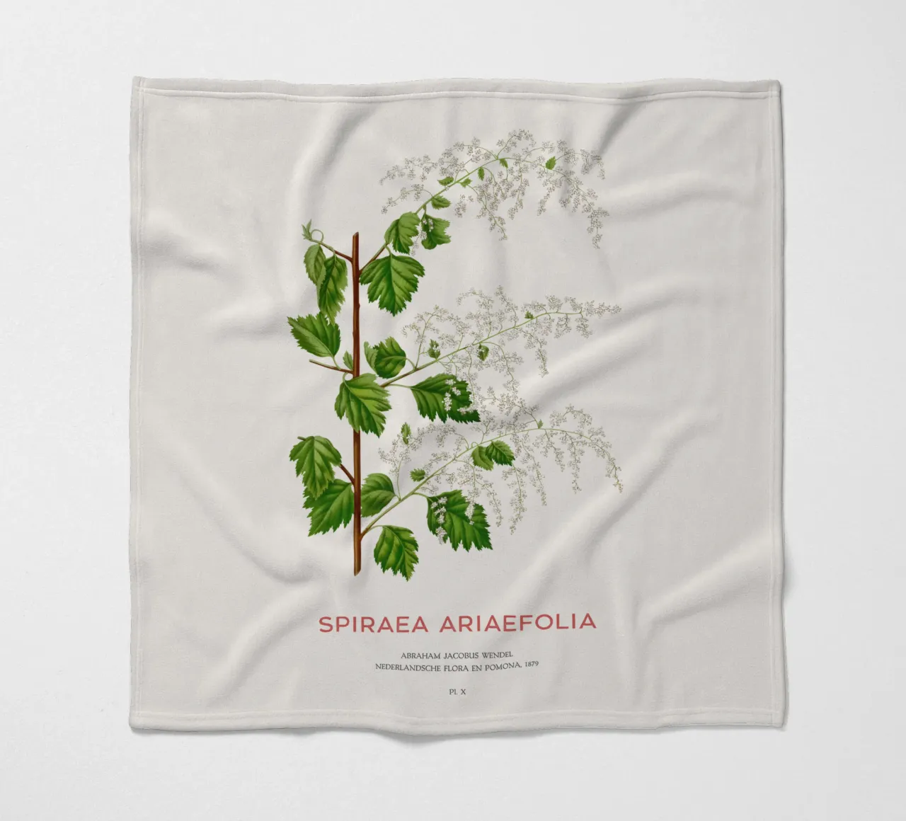 Meeresgischt oder Spiraea ariifolia Fleecedecke von Vintagrafica