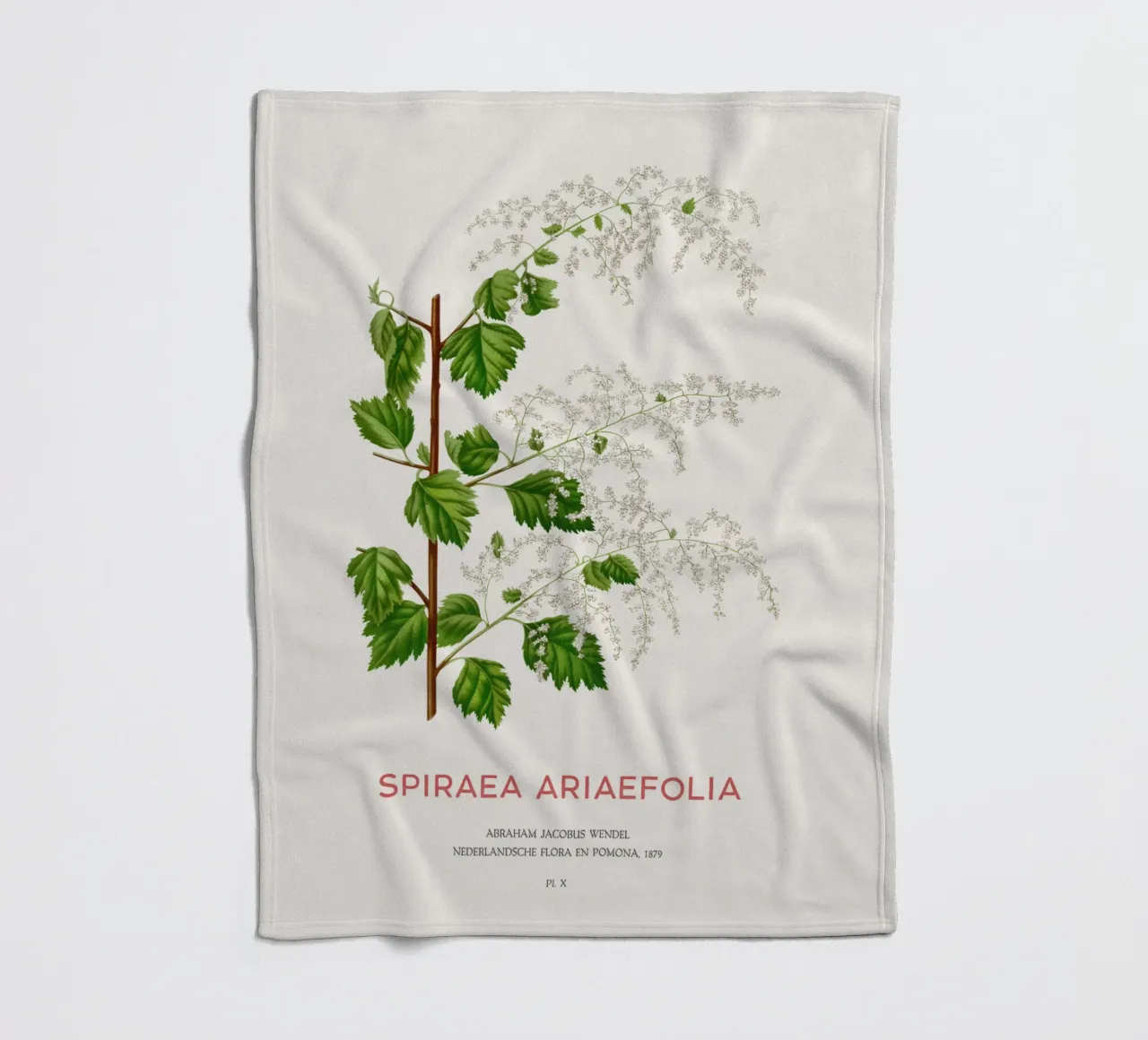 Meeresgischt oder Spiraea ariifolia Fleecedecke von Vintagrafica
