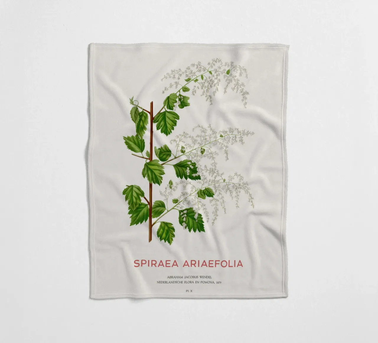 Meeresgischt oder Spiraea ariifolia Fleecedecke von Vintagrafica