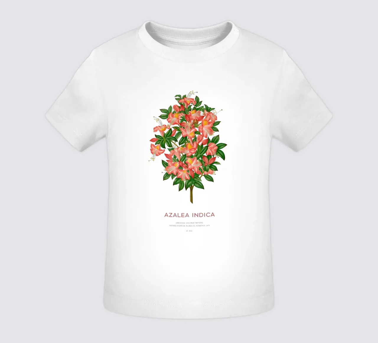 Azalea o Azalea indica maglietta neonato da Vintagrafica