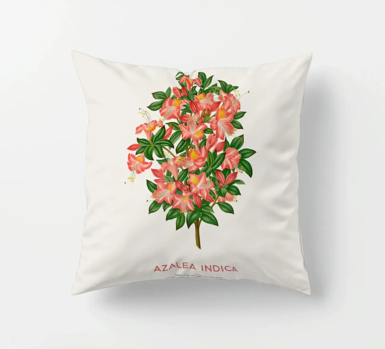 Azalea o Azalea indica cuscino da Vintagrafica
