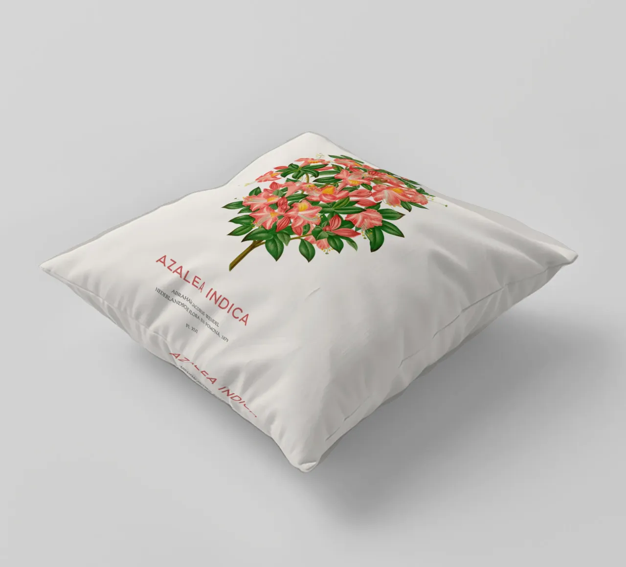 Azalea o Azalea indica cuscino da Vintagrafica
