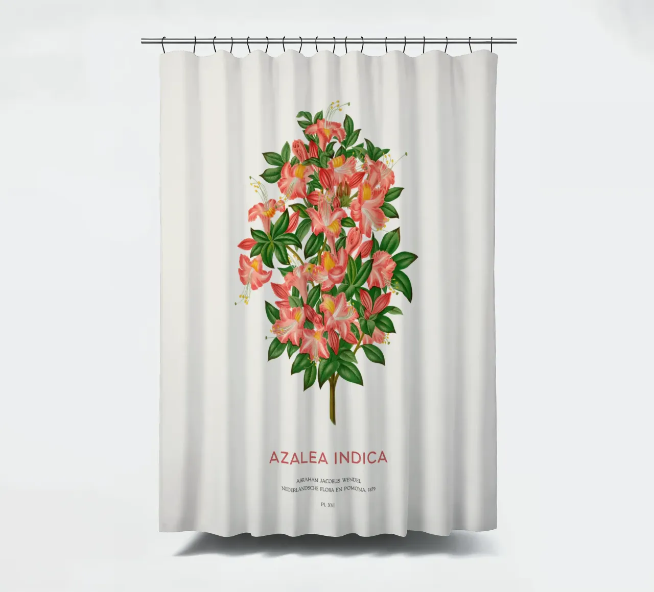Azalee oder Azalea indica Duschvorhang von Vintagrafica