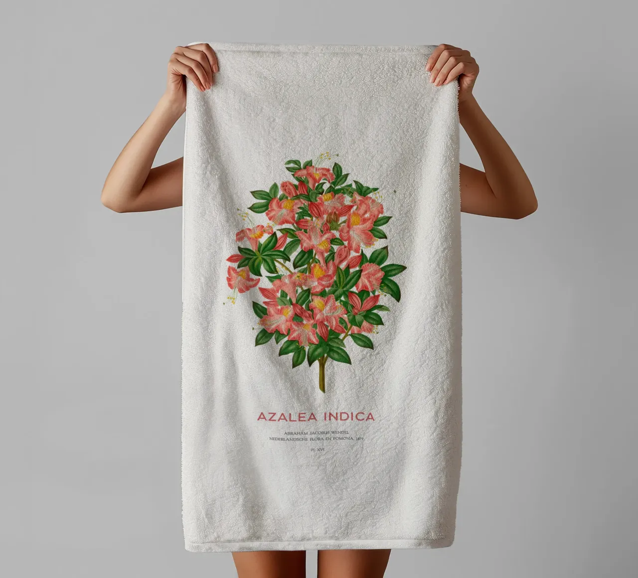 Azalea o Azalea indica asciugamano da bagno da Vintagrafica