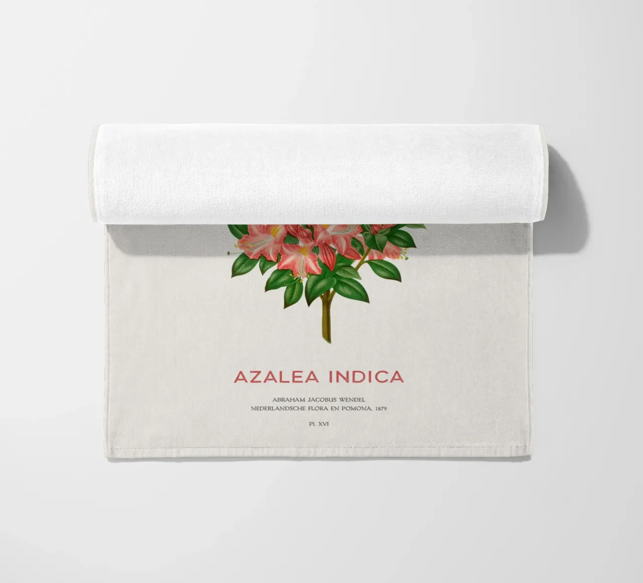 Azalea o Azalea indica telo mare da Vintagrafica