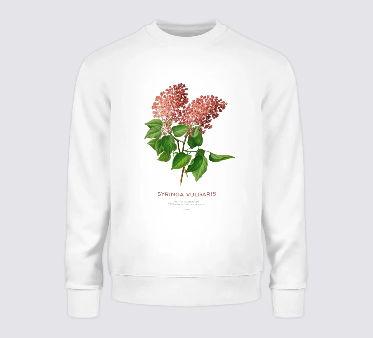 Lillà o Syringa vulgaris felpa da Vintagrafica