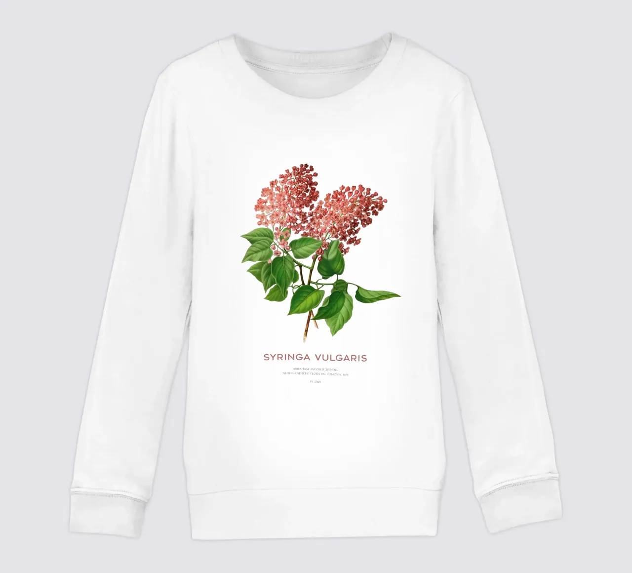 Lillà o Syringa vulgaris felpa bambino da Vintagrafica