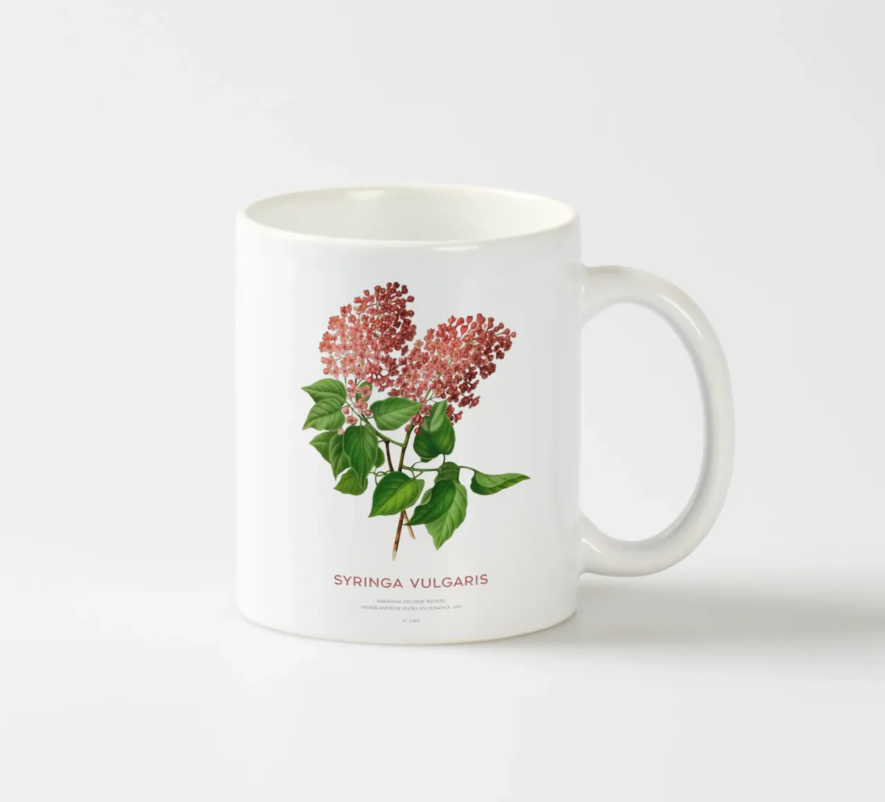 Lillà o Syringa vulgaris tazza in ceramica da Vintagrafica