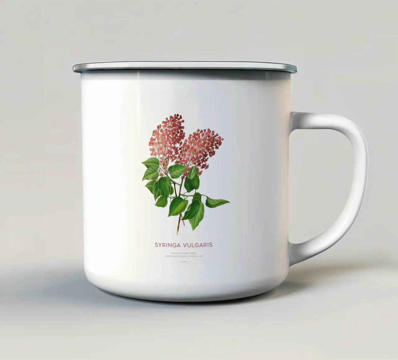 Lillà o Syringa vulgaris tazza in smalto da Vintagrafica