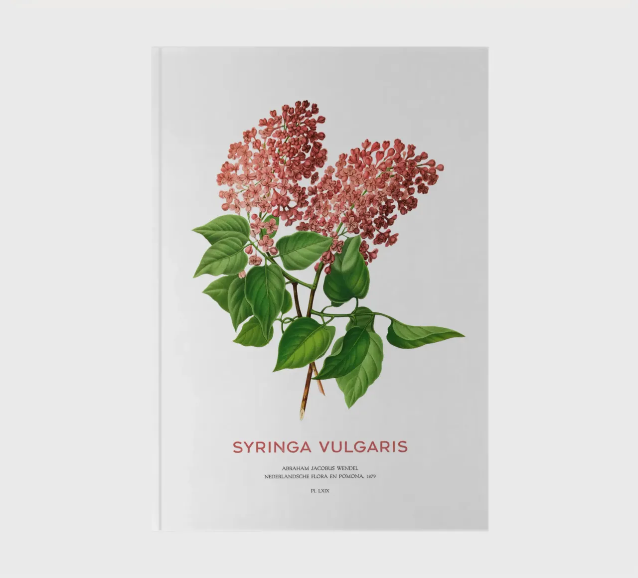 Flieder oder Syringa vulgaris Notizbuch von Vintagrafica