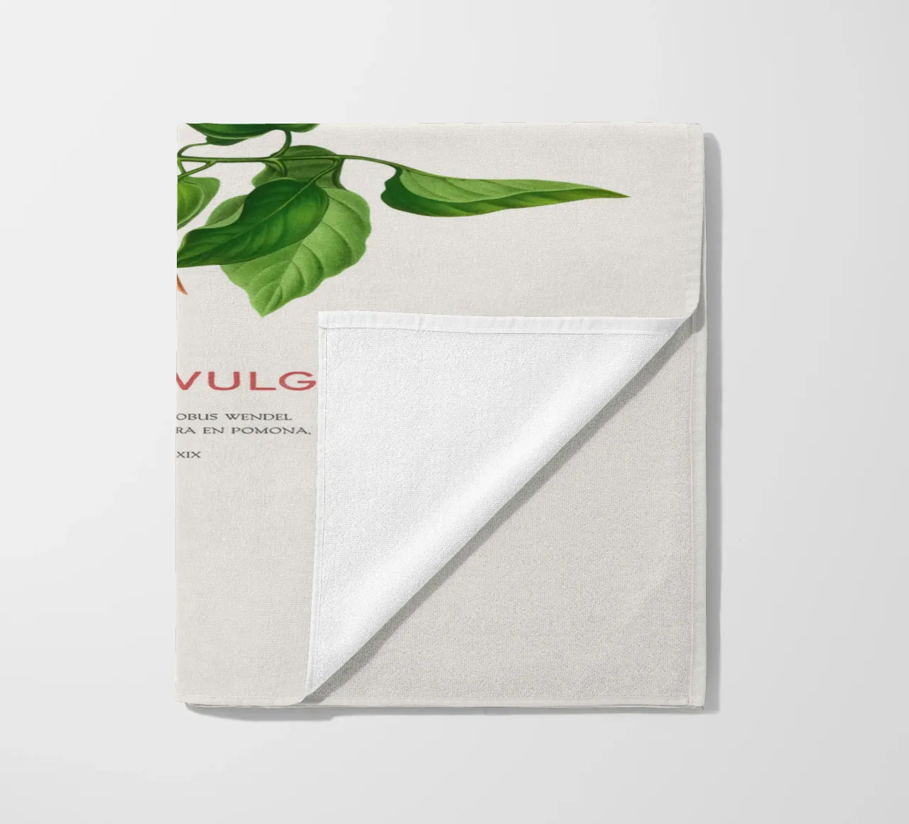 Lillà o Syringa vulgaris telo mare da Vintagrafica
