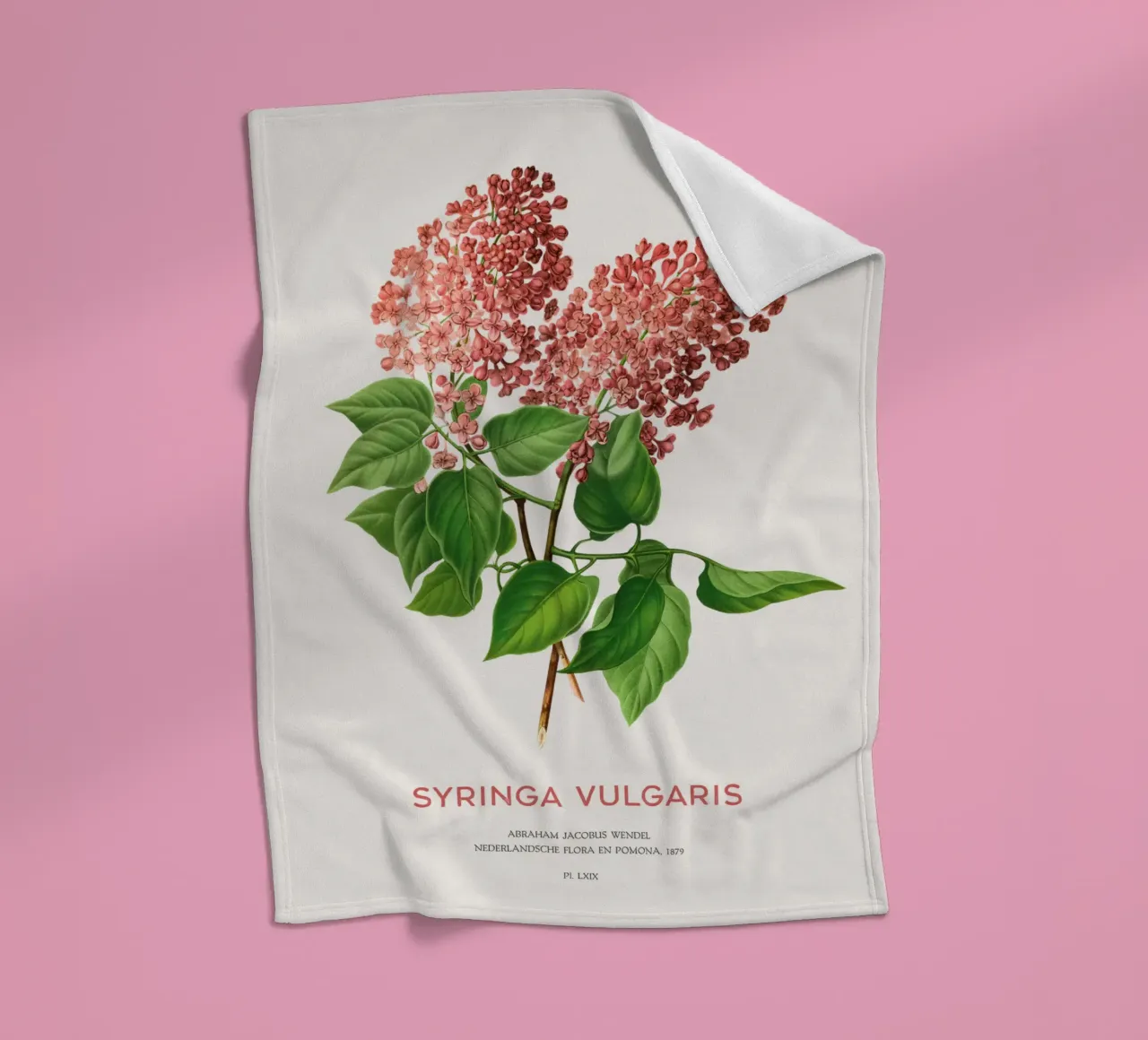 Flieder oder Syringa vulgaris Fleecedecke von Vintagrafica