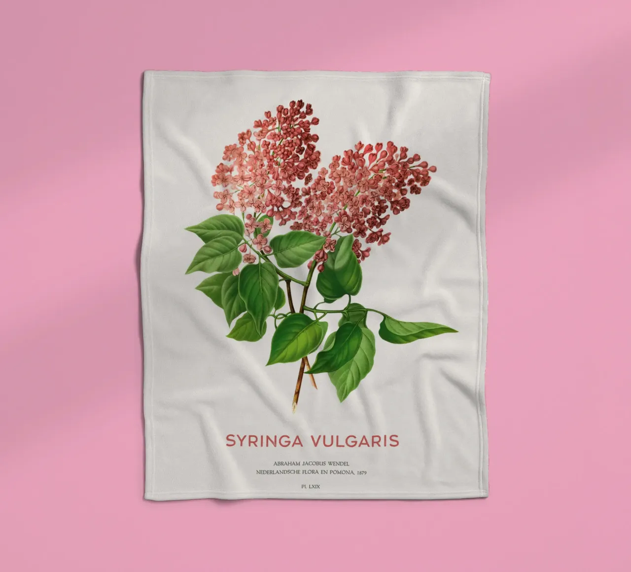 Flieder oder Syringa vulgaris Fleecedecke von Vintagrafica
