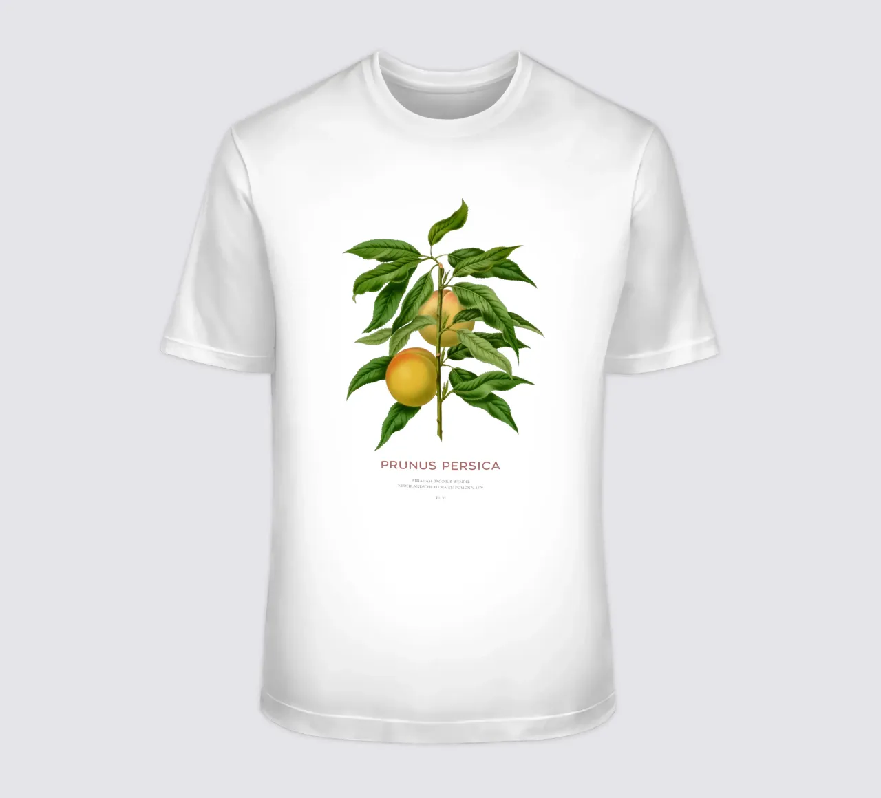 Pfirsich oder Prunus persica T-Shirt von Vintagrafica
