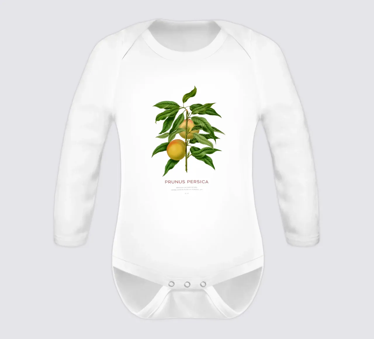 Pêche ou Prunus persica body manches longues de Vintagrafica
