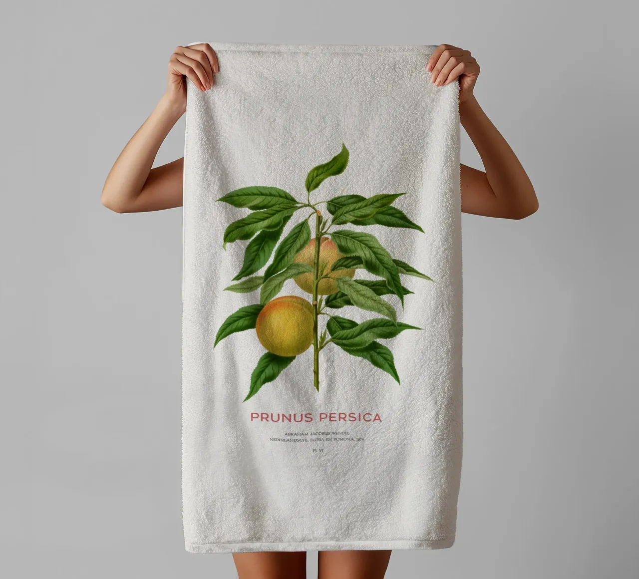 Pfirsich oder Prunus persica Handtuch von Vintagrafica