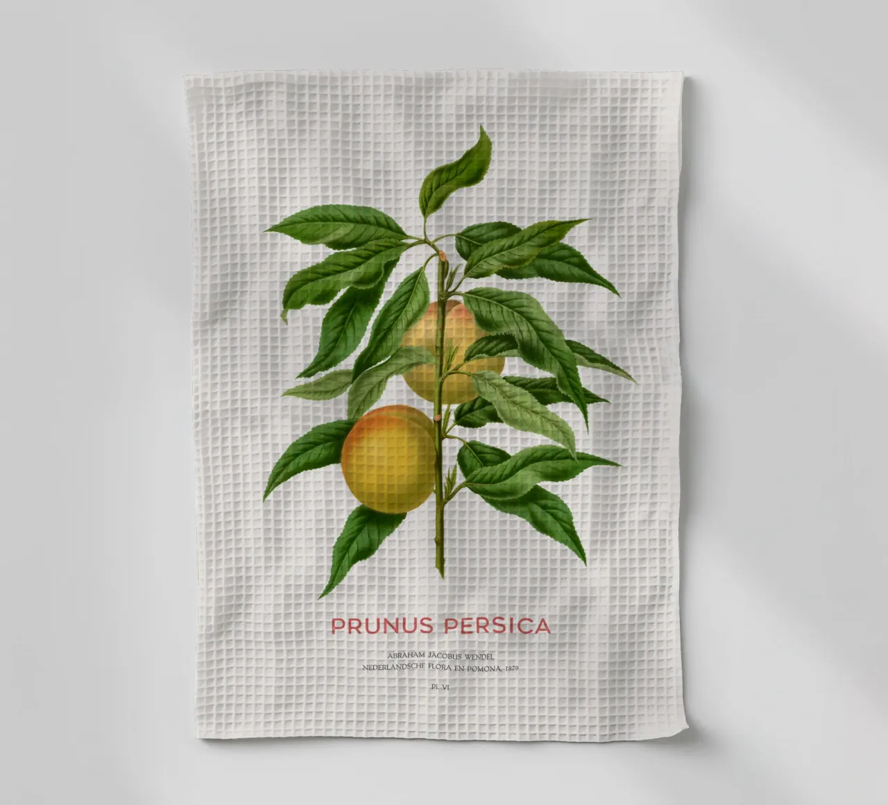 Pfirsich oder Prunus persica Geschirrtuch von Vintagrafica