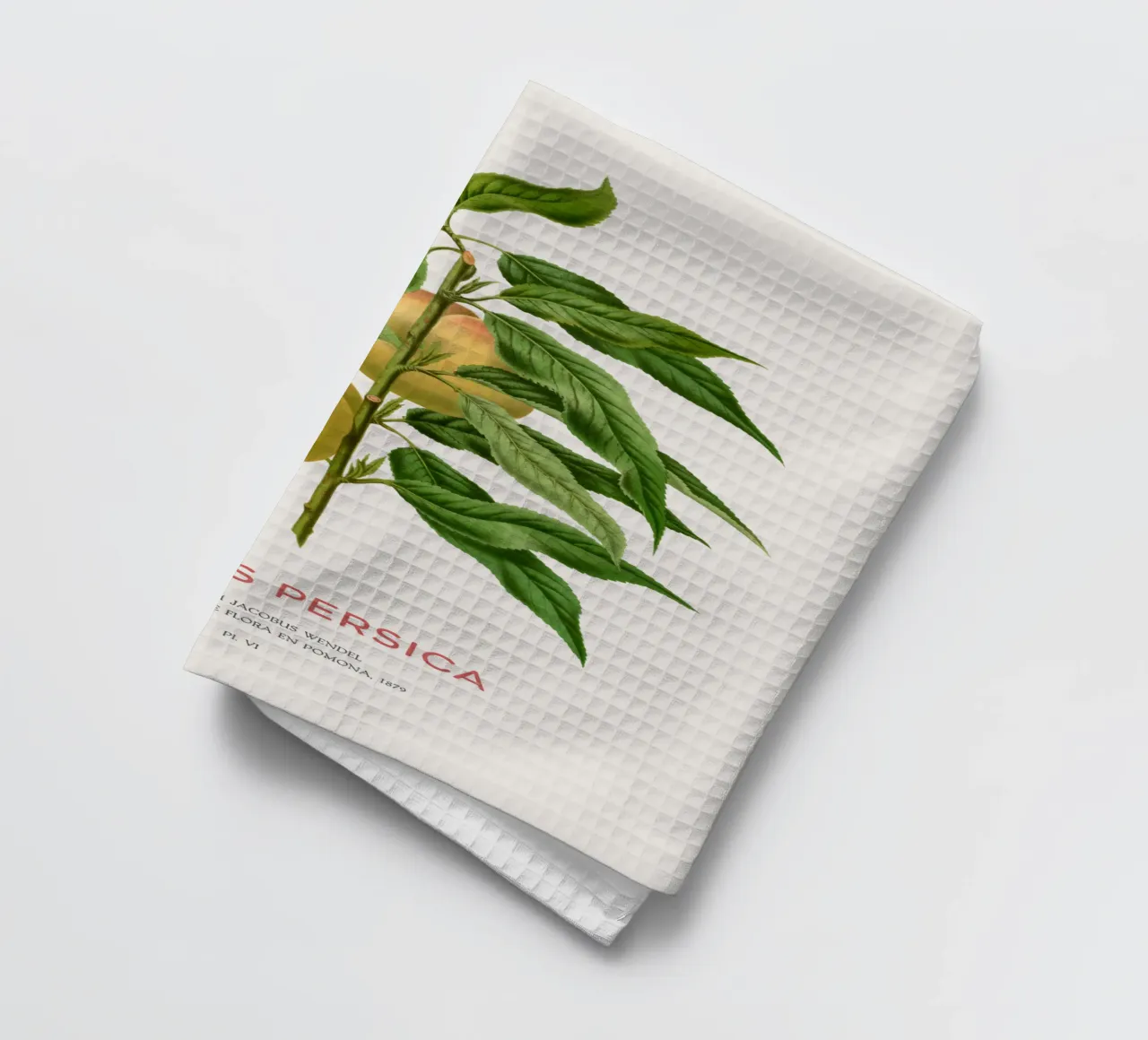 Pfirsich oder Prunus persica Geschirrtuch von Vintagrafica