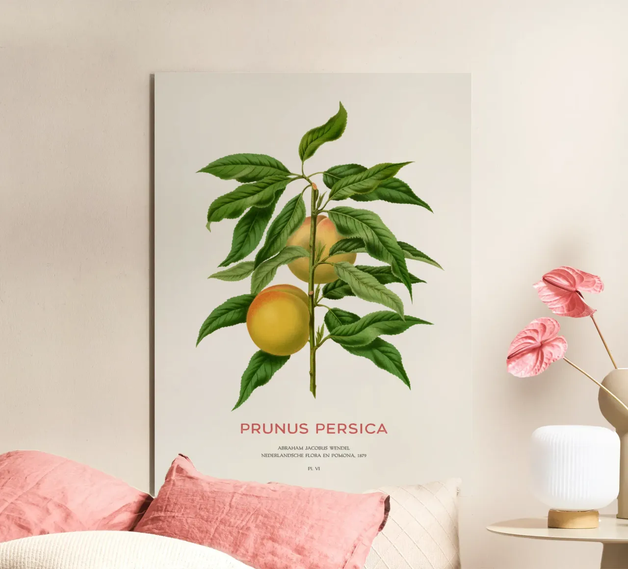 Peach or Prunus persica alu-dibond by Vintagrafica