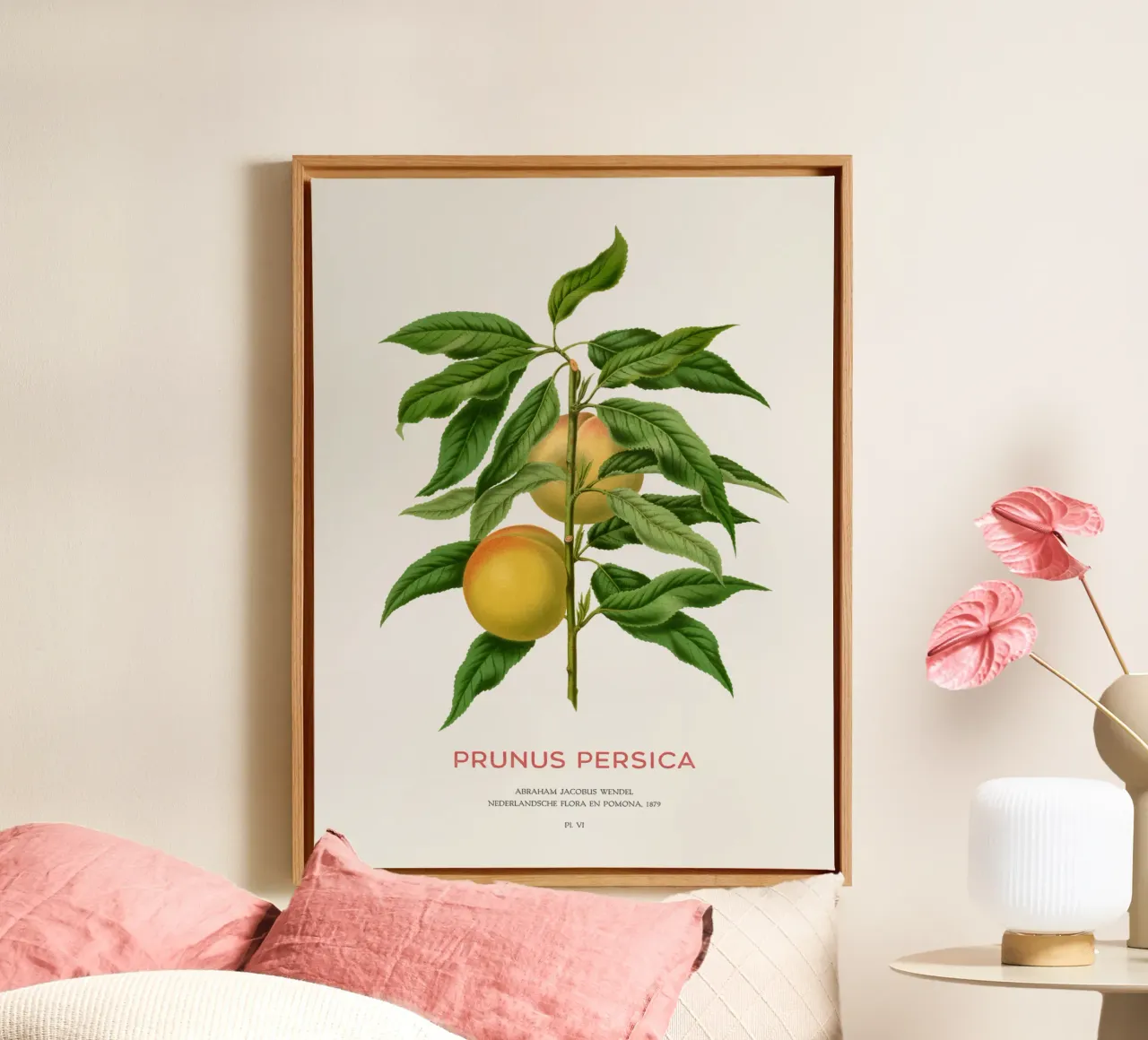 Pêche ou Prunus persica toile de Vintagrafica