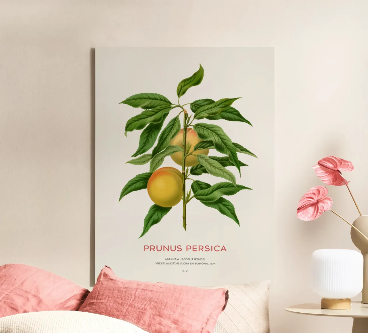 Pêche ou Prunus persica toile de Vintagrafica
