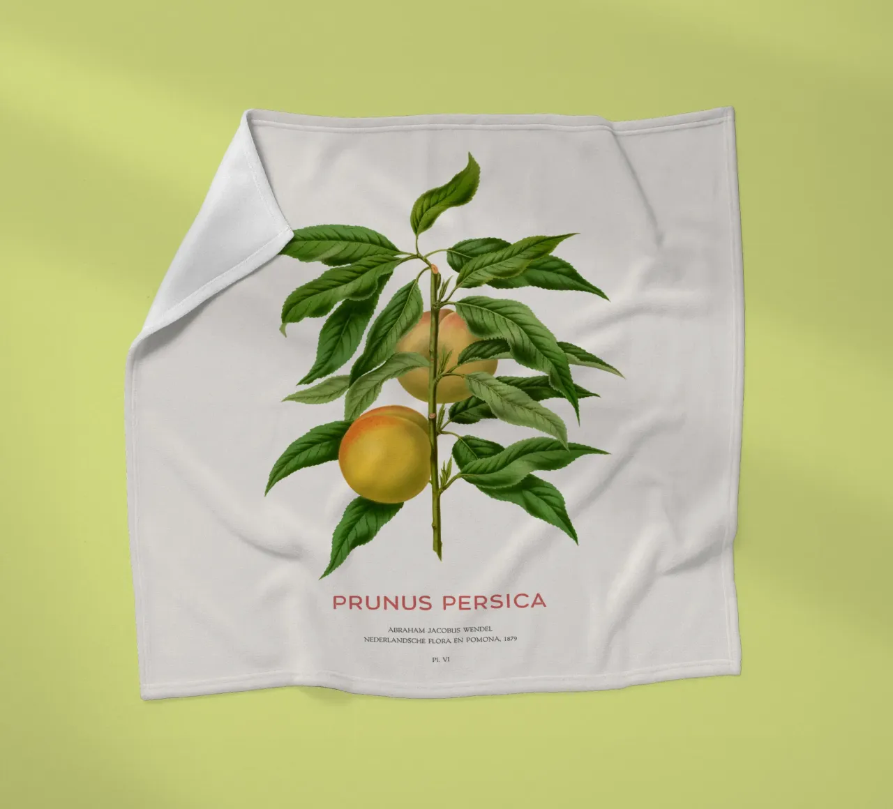 Pfirsich oder Prunus persica Fleecedecke von Vintagrafica