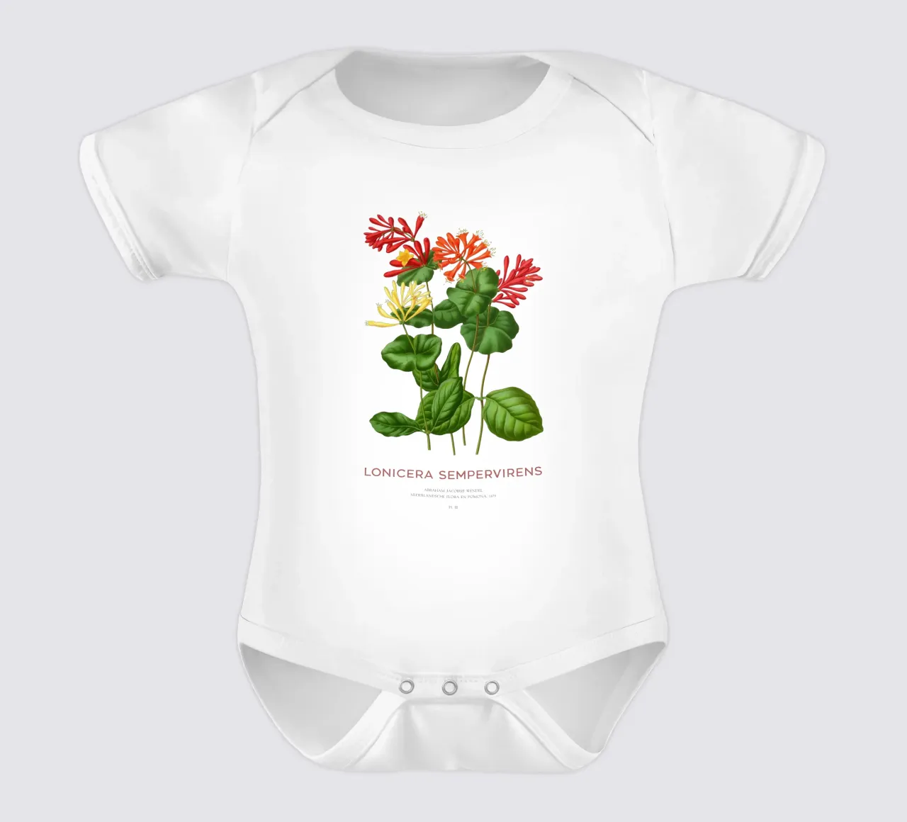 Korallengeißblatt oder Lonicera sempervirens Kurzarm Babybody von Vintagrafica
