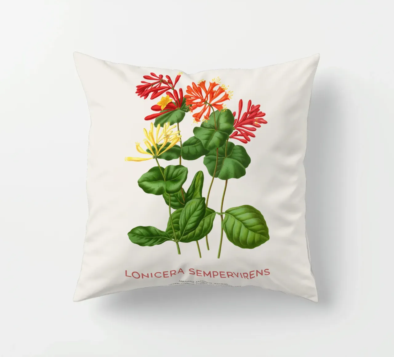 Caprifoglio corallino o Lonicera sempervirens cuscino da Vintagrafica