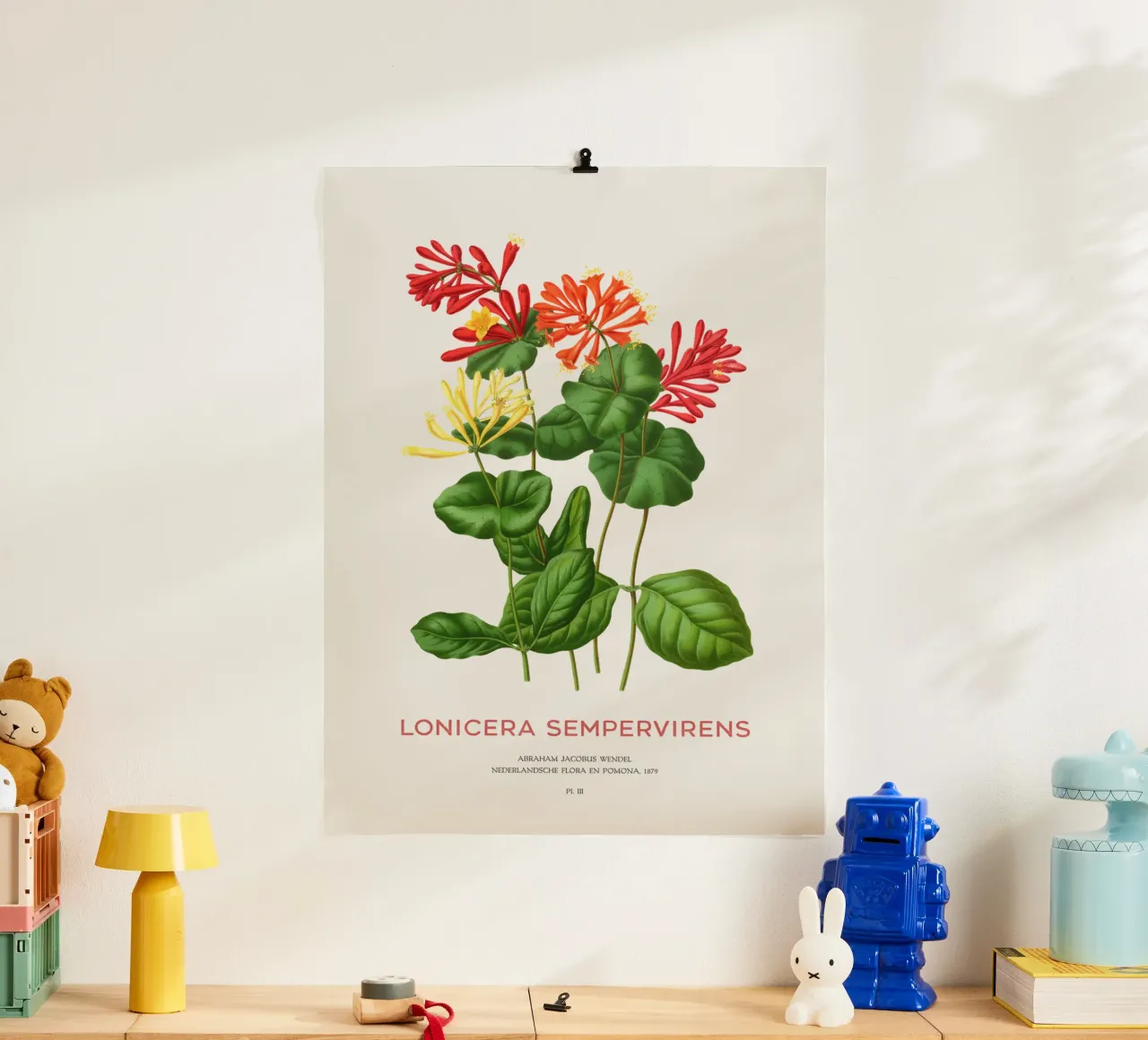 Korallengeißblatt oder Lonicera sempervirens Poster von Vintagrafica