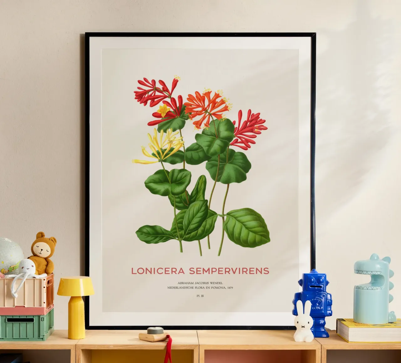 Korallengeißblatt oder Lonicera sempervirens Poster von Vintagrafica