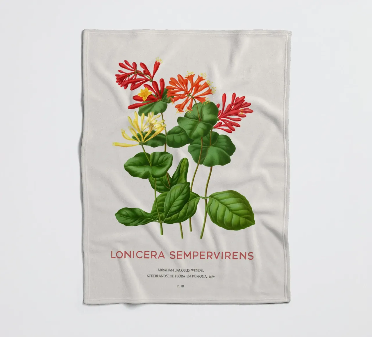 Caprifoglio corallino o Lonicera sempervirens coperta in pile da Vintagrafica
