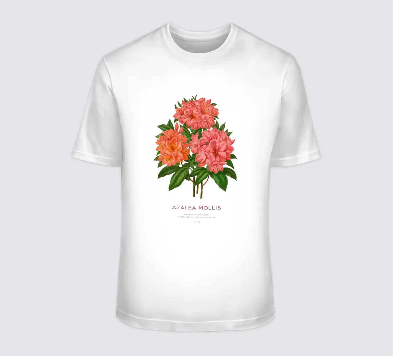 Rhododendron molle o Azalea Mollis t-shirt da Vintagrafica
