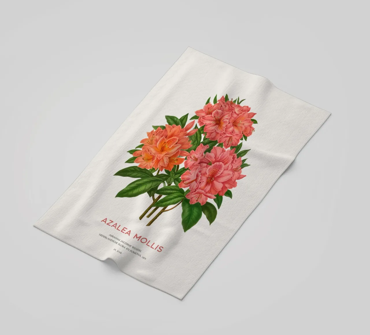 Rhododendron molle o Azalea Mollis toalla de playa de Vintagrafica