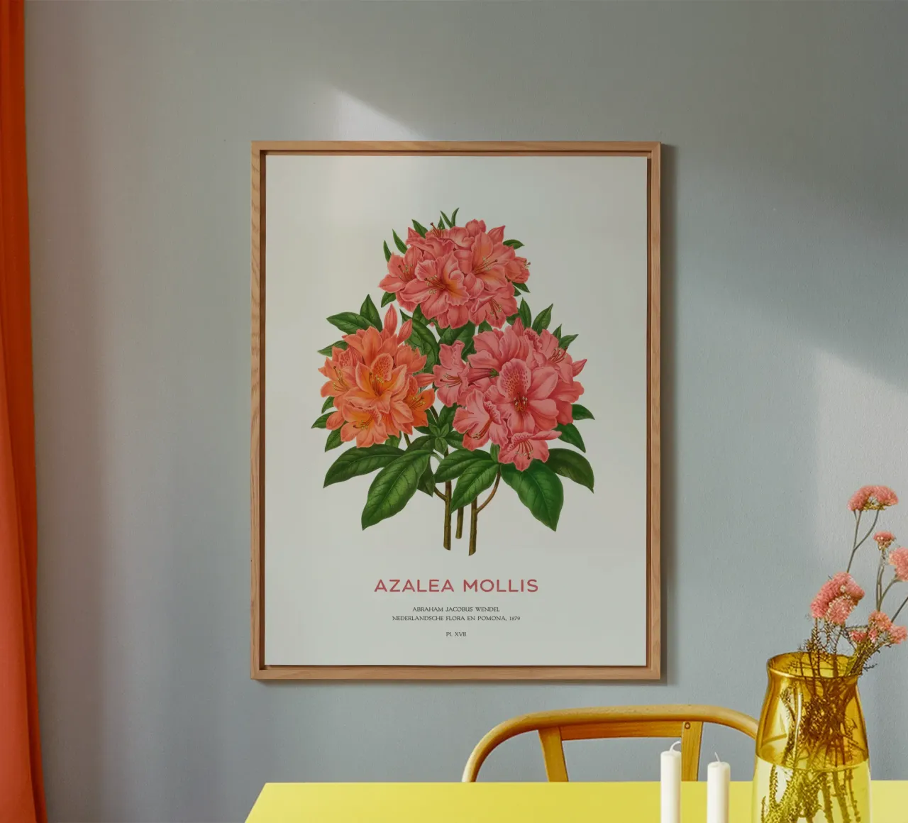 Rhododendron molle o Azalea Mollis alluminio dibond da Vintagrafica