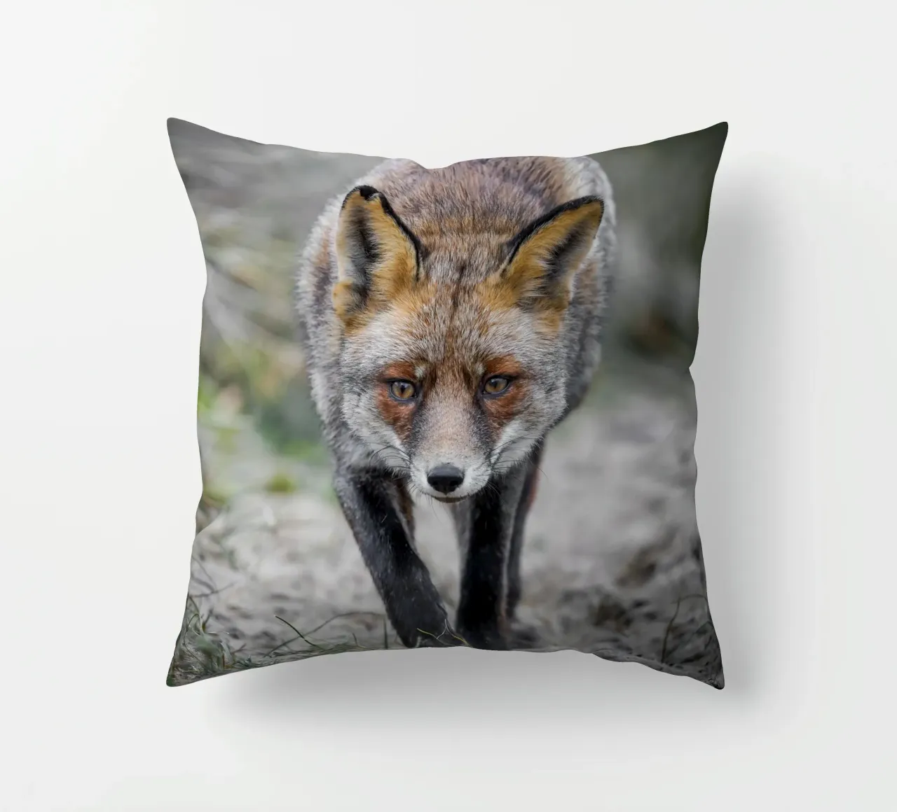 Volpe rossa femmina cuscino da Tom's Wildlife