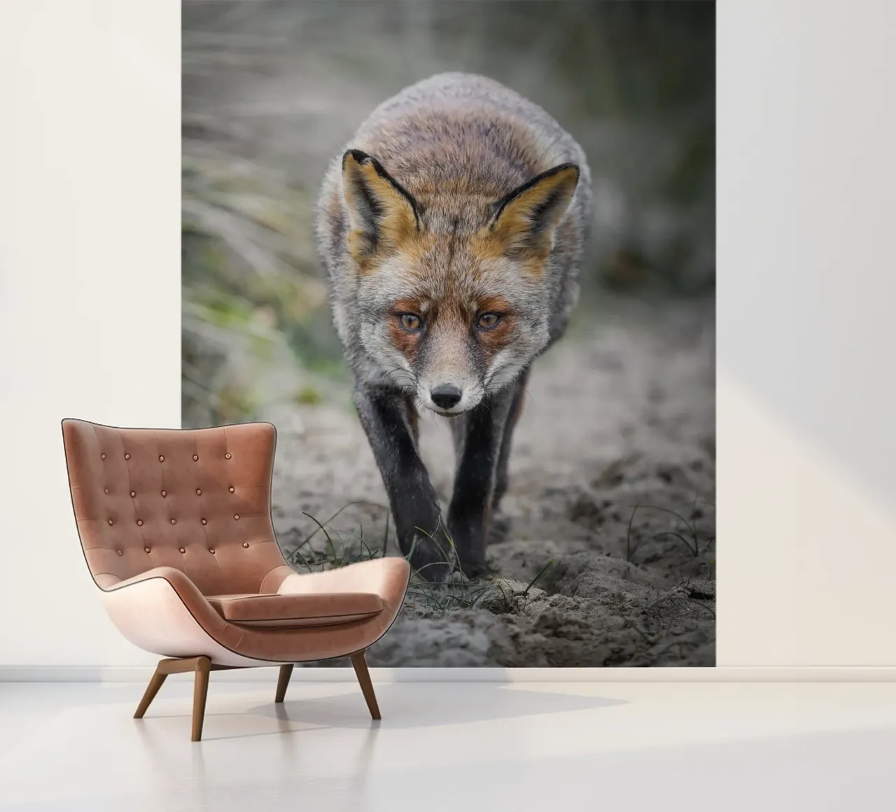 Rotfuchs weiblich Fototapete von Tom's Wildlife