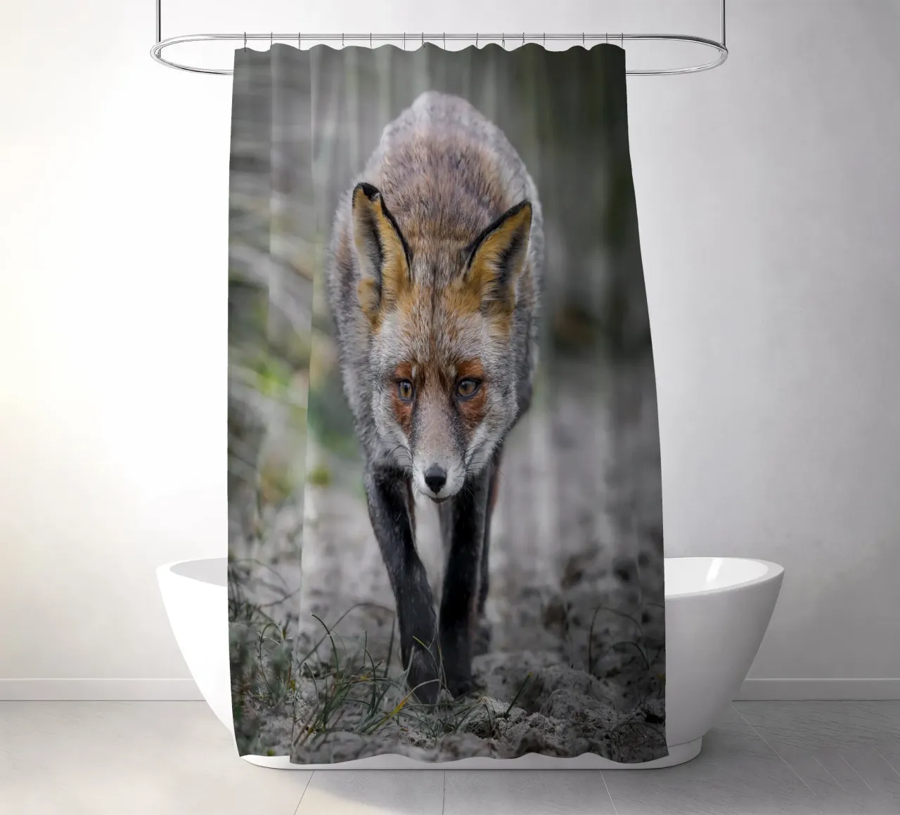Rotfuchs weiblich Duschvorhang von Tom's Wildlife