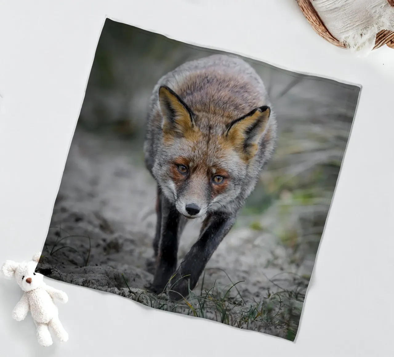 Rotfuchs weiblich Fleecedecke von Tom's Wildlife