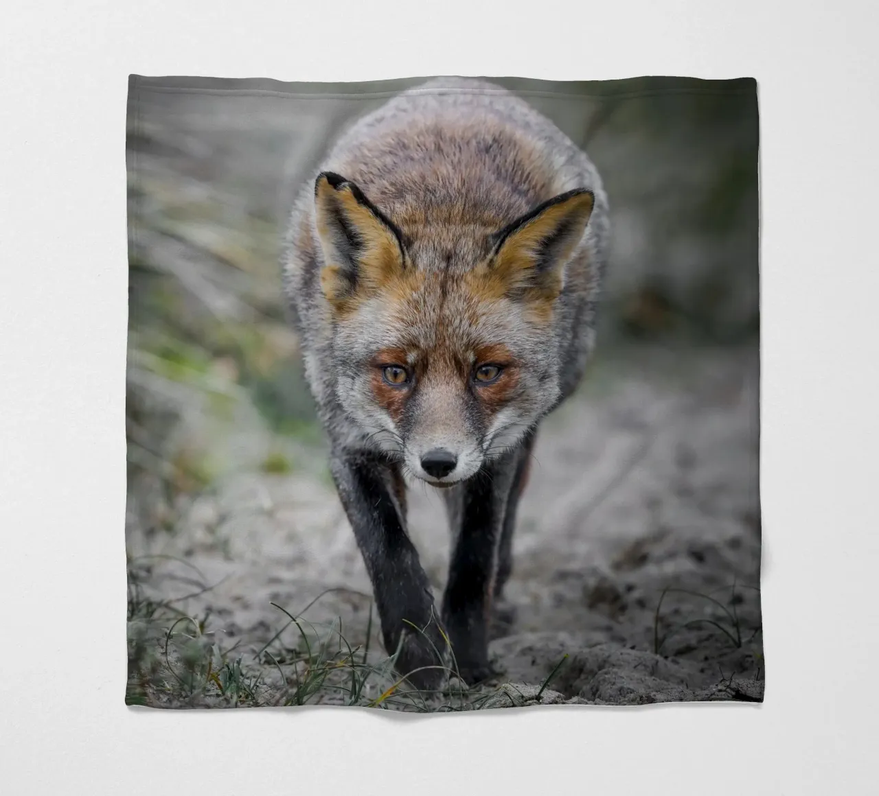 Rotfuchs weiblich Fleecedecke von Tom's Wildlife