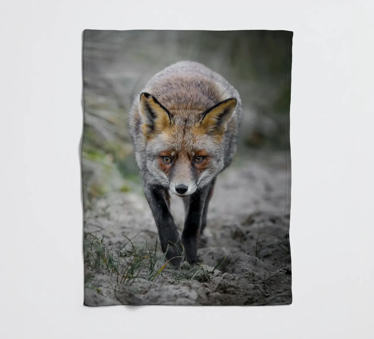 Rotfuchs weiblich Fleecedecke von Tom's Wildlife