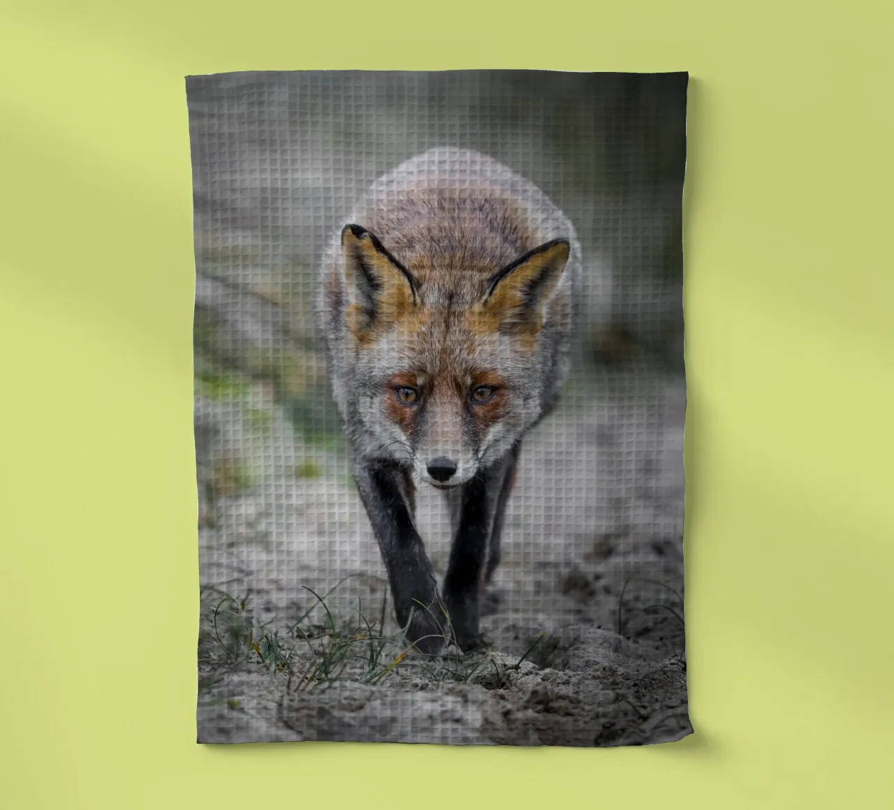 Rotfuchs weiblich Geschirrtuch von Tom's Wildlife