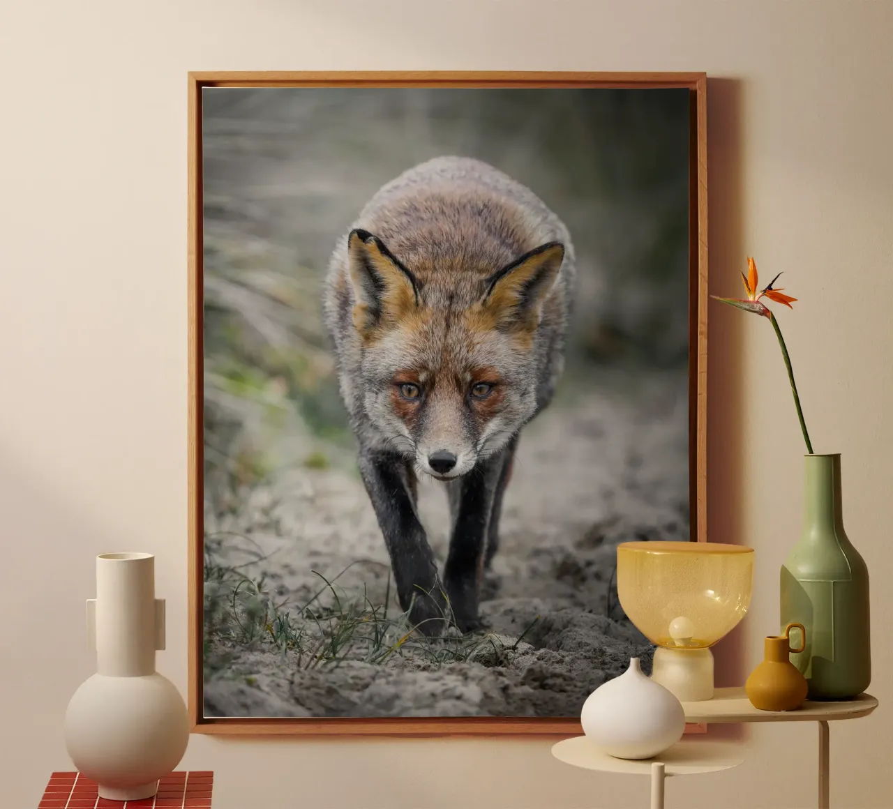 Red fox female canvas by Tom's Wildlife